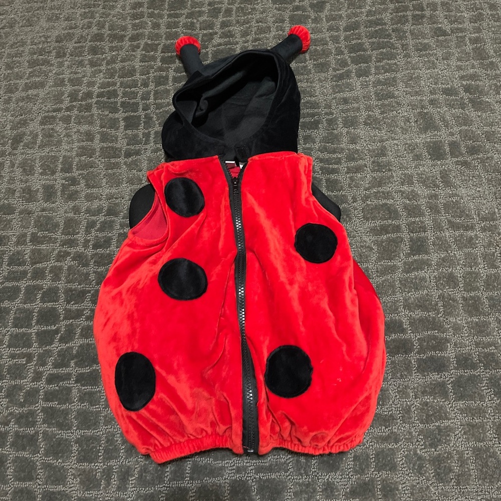 Lady Bug Costume Toddler 18 months